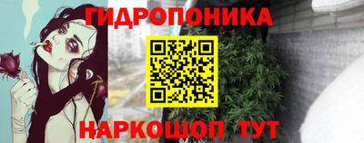 амф Бердск